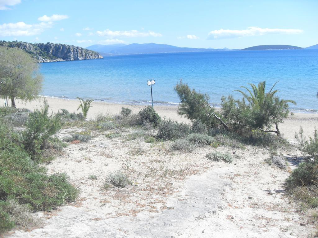 Hotel Pavlos - Studios Tolón Dış mekan fotoğraf